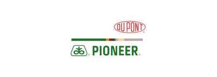 Pioneer Pioneer